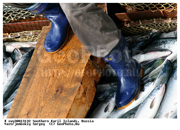 ������, ����� ������