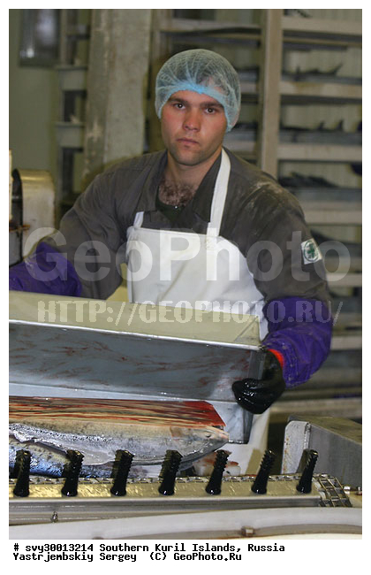 ������, ����� ������, ��������