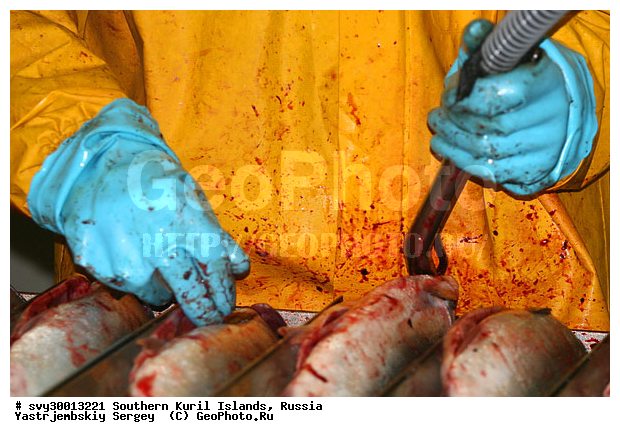 ������, ����� ������, ��������