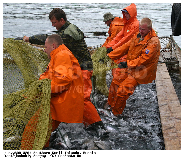 ������, ����� ������, ������