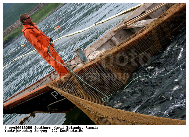 ������, ����� ������, ������