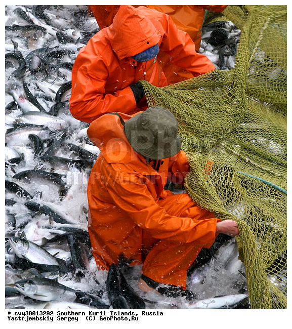 ������, ����� ������, ������