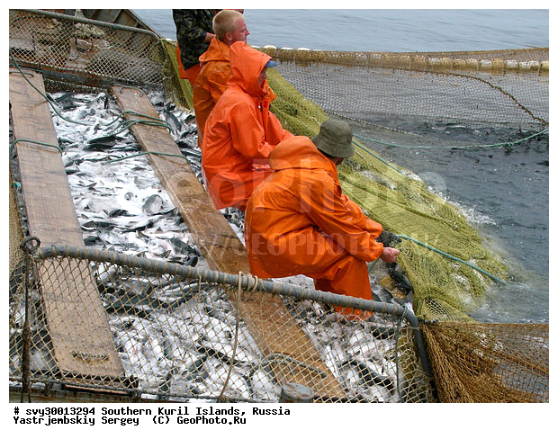 ������, ����� ������