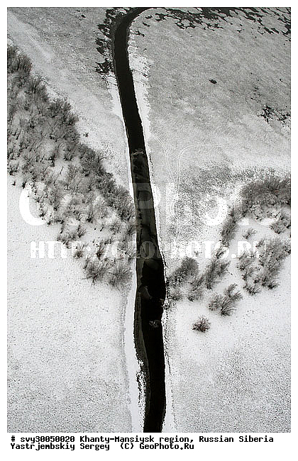 ��������, ����� ��������, �������, ����������, ��������������, ��� ������, �������������, ����������, ������ ����, ����, �����