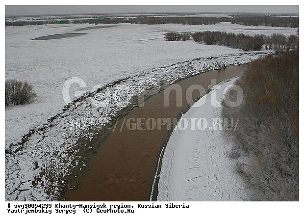 ��������, ����� ��������, �������, ����������, ��������������, ��� ������, �������������, ����������, ������ ����, ����, �����