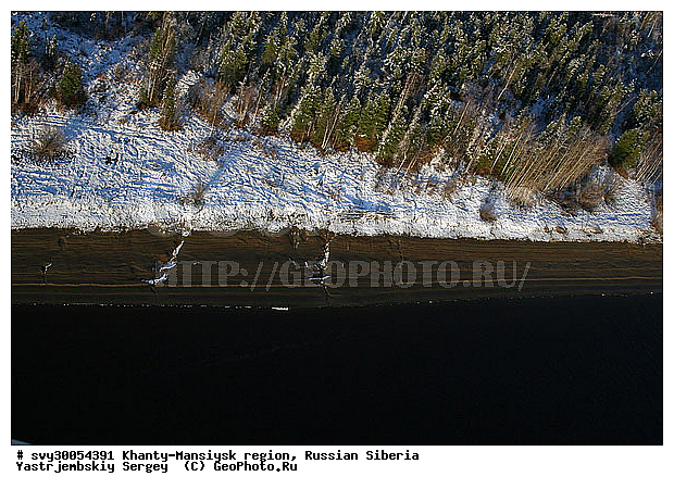 ��������, ����� ��������, �������, ����������, ��������������, ��� ������, �������������, ����������, ������ ����, ����, �����