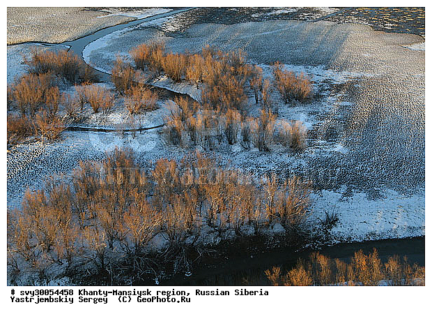 ��������, ����� ��������, �������, ����������, ��������������, ��� ������, �������������, ����������, ������ ����, ����, �����