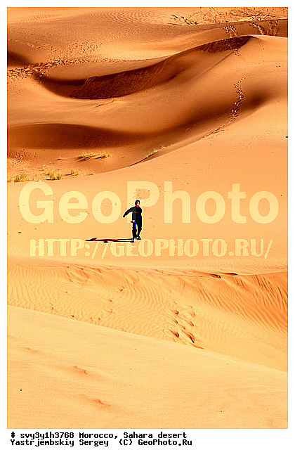 �������, �������, ������, ������, �����, �������, �������, ��������, �����