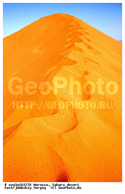 �������, �������, ������, ������, �����, �������, �������, ���������, ��������, ����, �����, ����� �� �����, �����