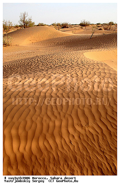 �������, �������, ������, ������, �����, �������, �������, ��������, �����