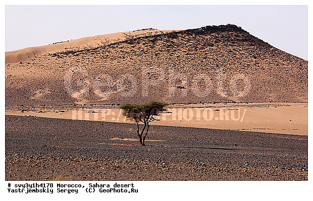 �������, �������, ������, ������, �����, �������, �������, ��������, �����