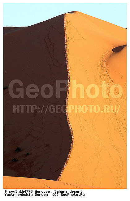 �������, �������, ������, ������, �����, �������, �������, ���������, ��������, ����, �����, ����� �� �����, �����