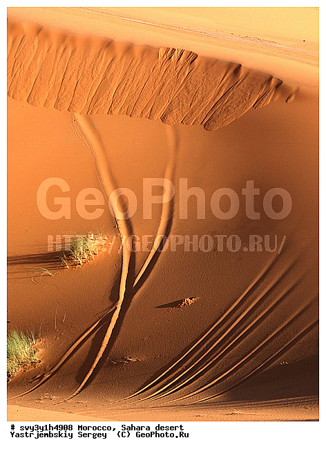 �������, �������, ������, ������, �����, �������, �������, ���������, ��������, ����, �����, ����� �� �����, �����