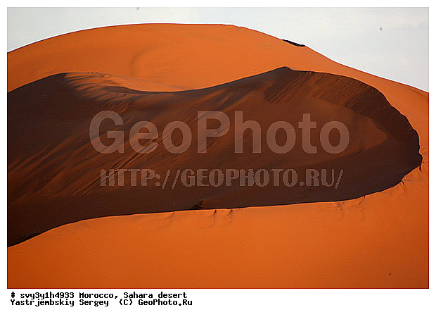 �������, �������, ������, ������, �����, �������, �������, ��������, ����, ����, �����