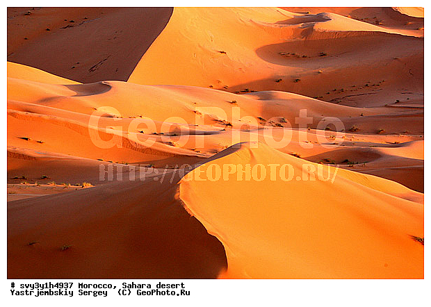 �������, �������, ������, ������, �����, �������, �������, ��������, �����