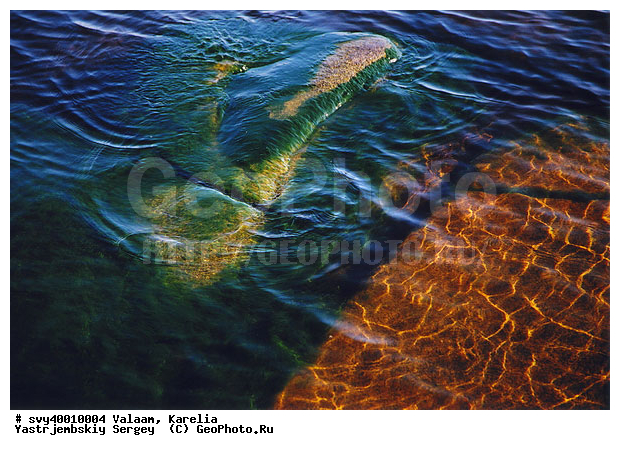 �������, ������ ������, �������� ���������, ��������, ������, ���������� ����� � �����������