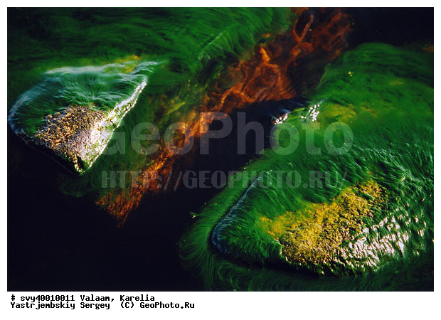 �������, ������ ������, �������� ���������, ��������, ������, ���������� ����� � �����������