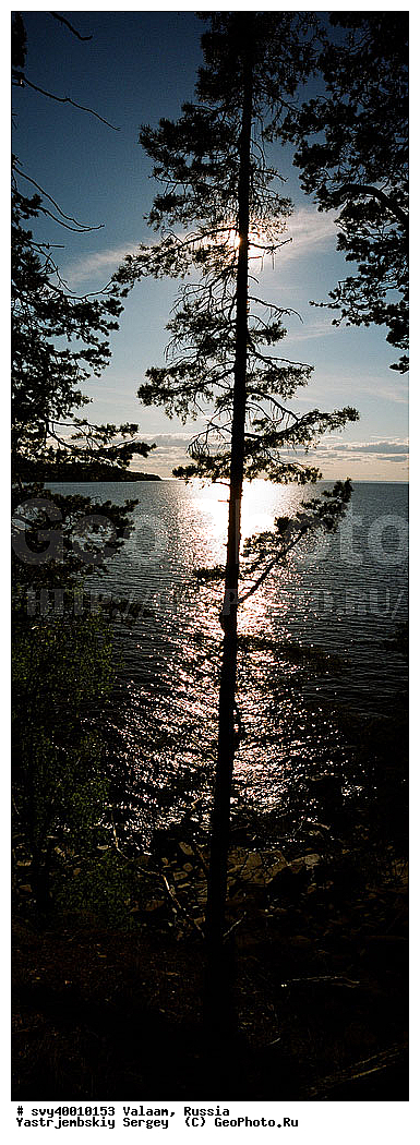 ������, �������, ��������� �����, ������, ������, ������ ������, ��������