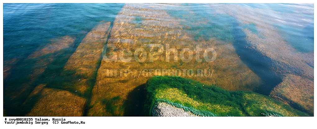 ������, �������, ��������� �����, ������, ������, ������ ������, ��������