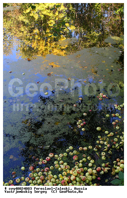 ������� ������, ����������-���������, ��������, �����, ���, �����, �����, ����, �������, �������, ������������ ���� �������� �����