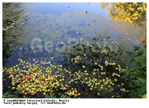 ������� ������, ����������-���������, ��������, �����, ���, �����, �����, ����, �������, �������, ������������ ���� �������� �����