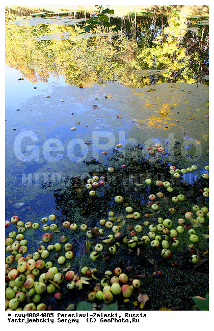 ������� ������, ����������-���������, ��������, �����, ���, �����, �����, �������, ������������ ���� �������� �����