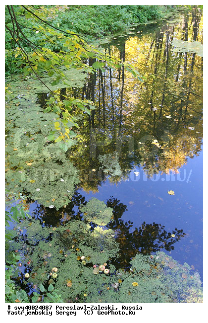 ������� ������, ����������-���������, ��������, �����, ���, �����, �����, ����, �������, �������, ������������ ���� �������� �����