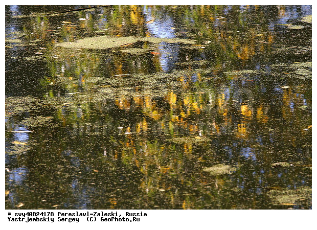 ������� ������, ����������-���������, ��������, �����, ���, �����, �����, �������, ������������ ���� �������� �����