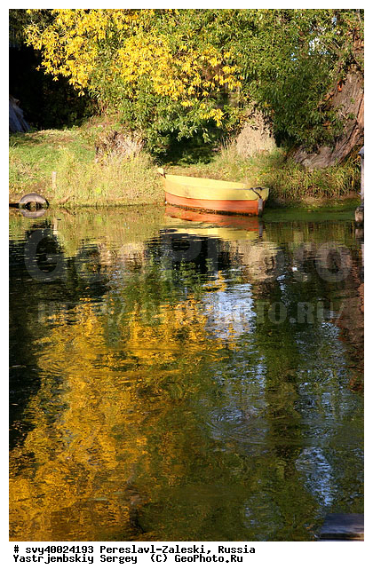 ������� ������, ����������-���������, ��������, �����, ���, �����, �����, �������, ������������ ���� �������� �����