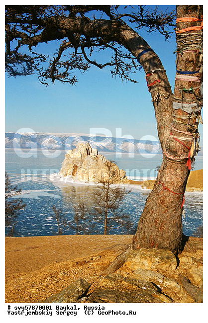 ������, ����