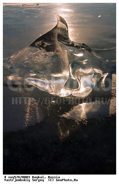 ������, ����, ���