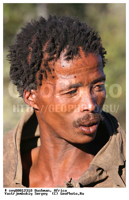 ������, ��������, ������