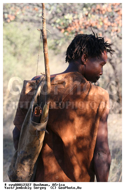 ������, �������