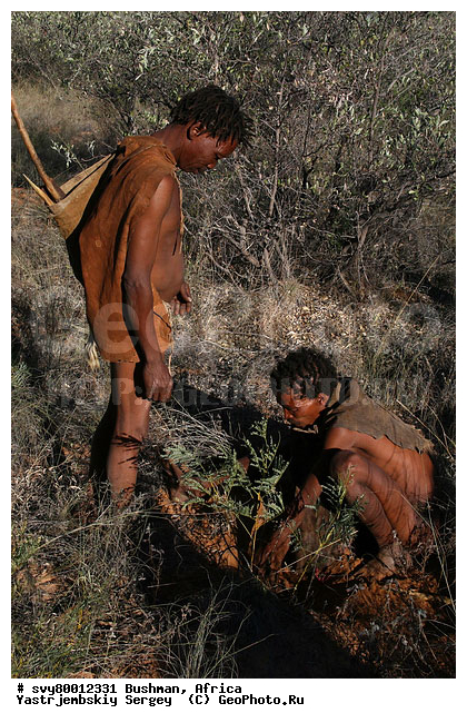 ������, �������