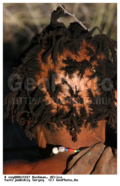 ������, �������