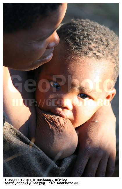 ������, �������