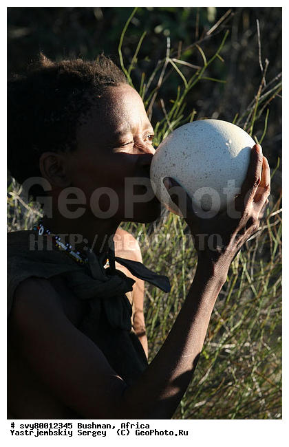 ������, �������, �����