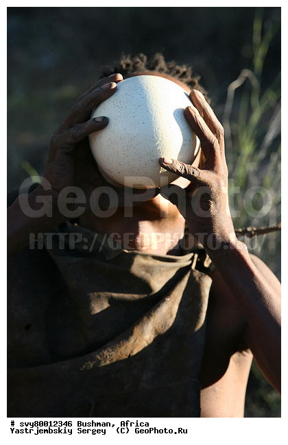 ������, �������