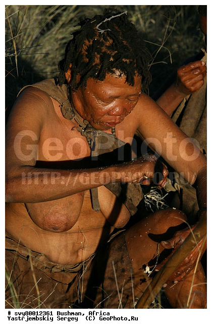 ������, �������