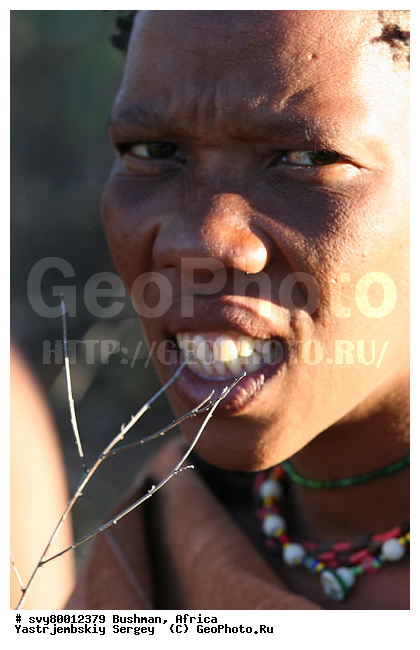 ������, �������