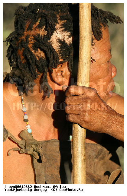 ������, �������