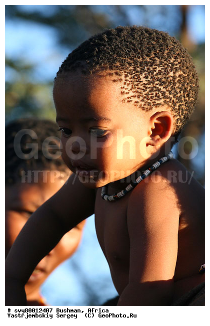 ������, �������