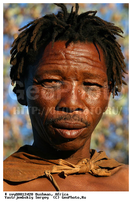 ������, �������