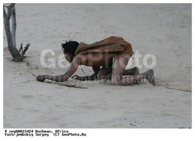 ������, �������