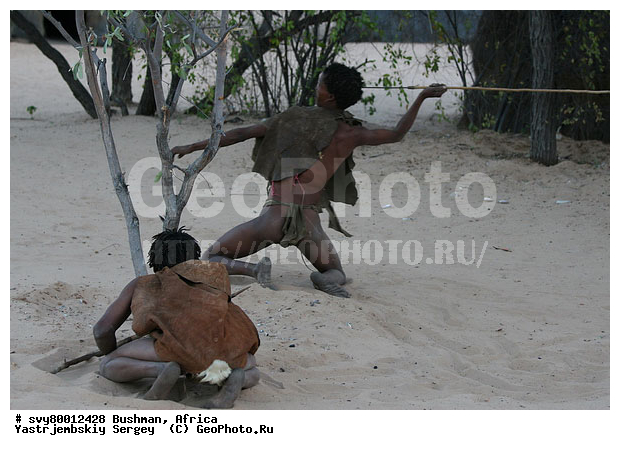 ������, �������