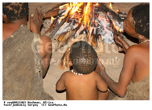 ������, �������