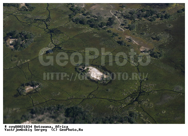 ������, ��������, ����������, ������ ���� ��������