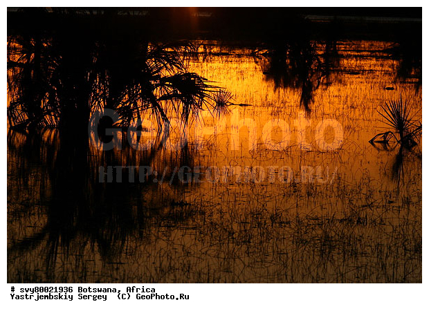 ������ ��������, ��������, �����