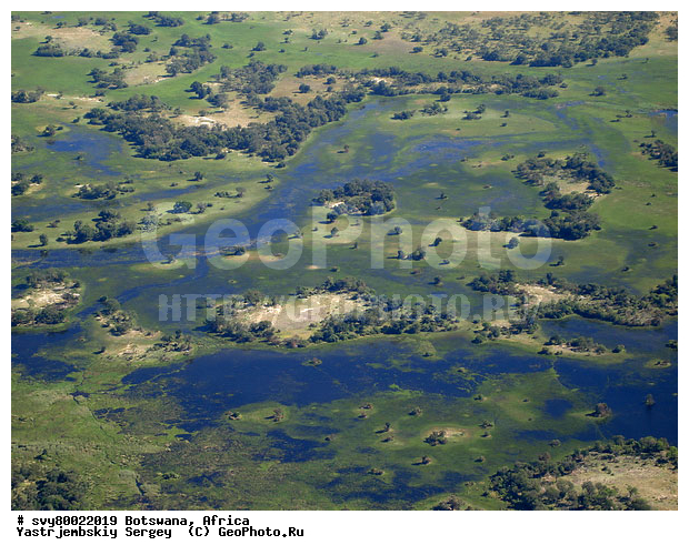 ������, ��������, ����������, ������ ���� ��������