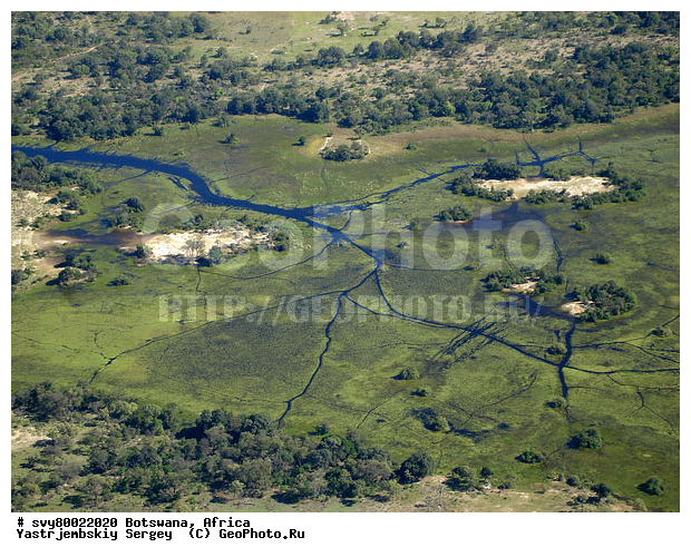 ������, ��������, ��������, ����������